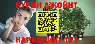 стаф Жуковский
