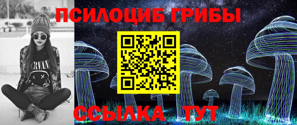 Галлюциногенные грибы прущие грибы Мурино